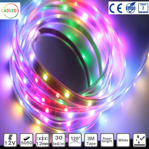 Dream color 5050 RGB IC Strip,IC LED Strip
